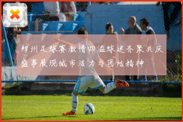 郑州足球赛激情四溢球迷齐聚共庆盛事展现城市活力与团结精神