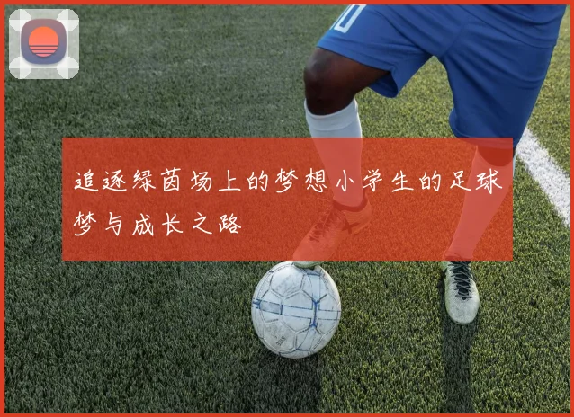 追逐绿茵场上的梦想小学生的足球梦与成长之路
