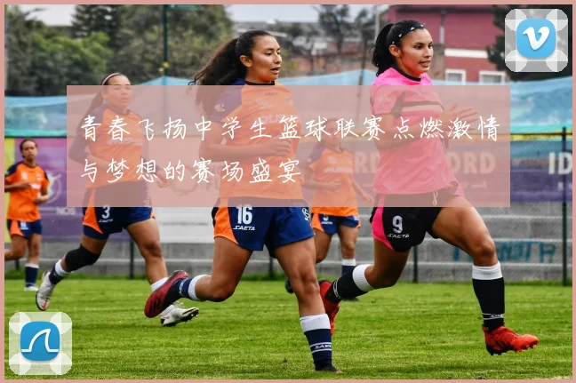 青春飞扬中学生篮球联赛点燃激情与梦想的赛场盛宴
